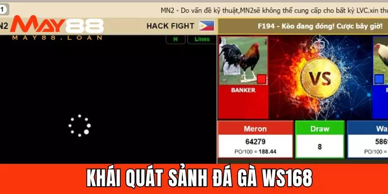 Khái quát chung về sảnh đá gà WS168