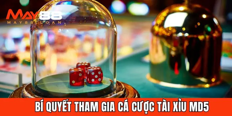 Những mẹo chơi sau đây được đúc kết từ kinh nghiệm chinh chiến
