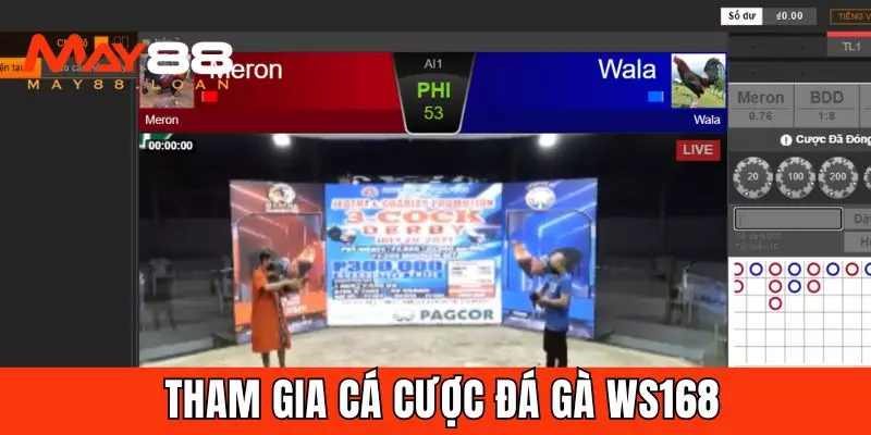 Hướng dẫn tham gia cá cược đá gà WS168 tại May88